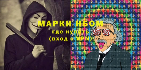 ГАЛЛЮЦИНОГЕННЫЕ ГРИБЫ Касимов