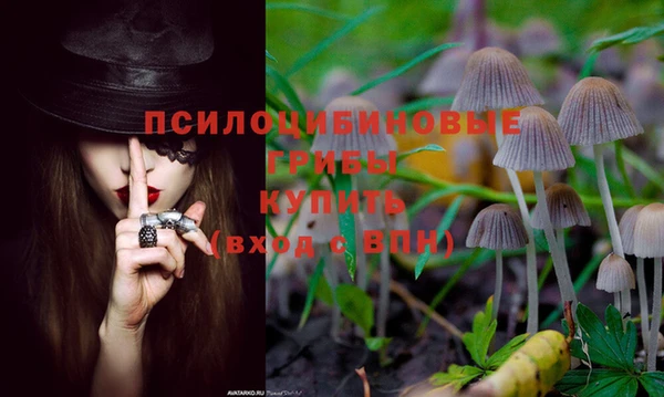 скорость Карталы