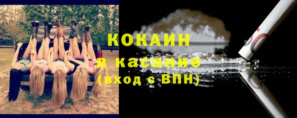 ГАЛЛЮЦИНОГЕННЫЕ ГРИБЫ Касимов