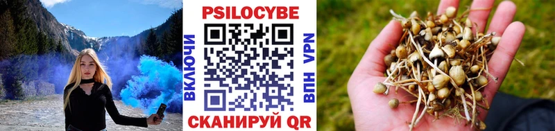 Псилоцибиновые грибы мицелий Вязьма