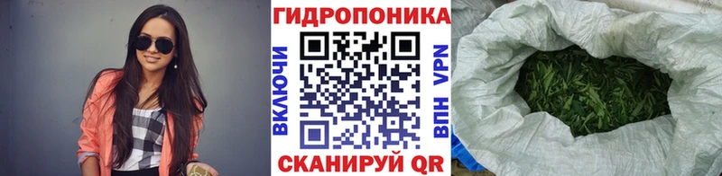 Купить закладки  Вязьма  Канабис Amnesia 